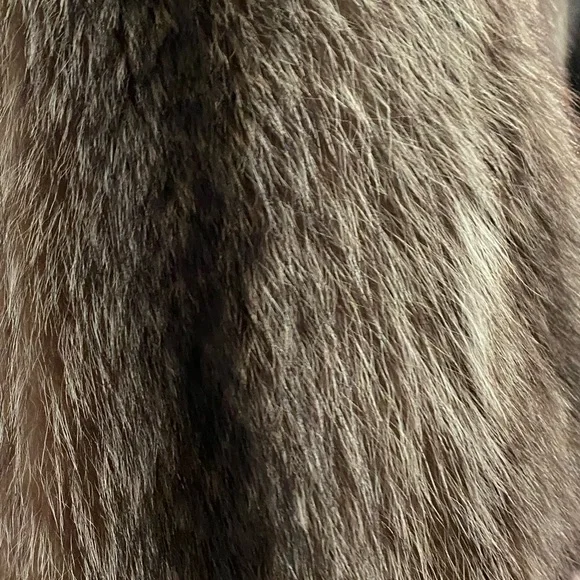 Raccoon Coat